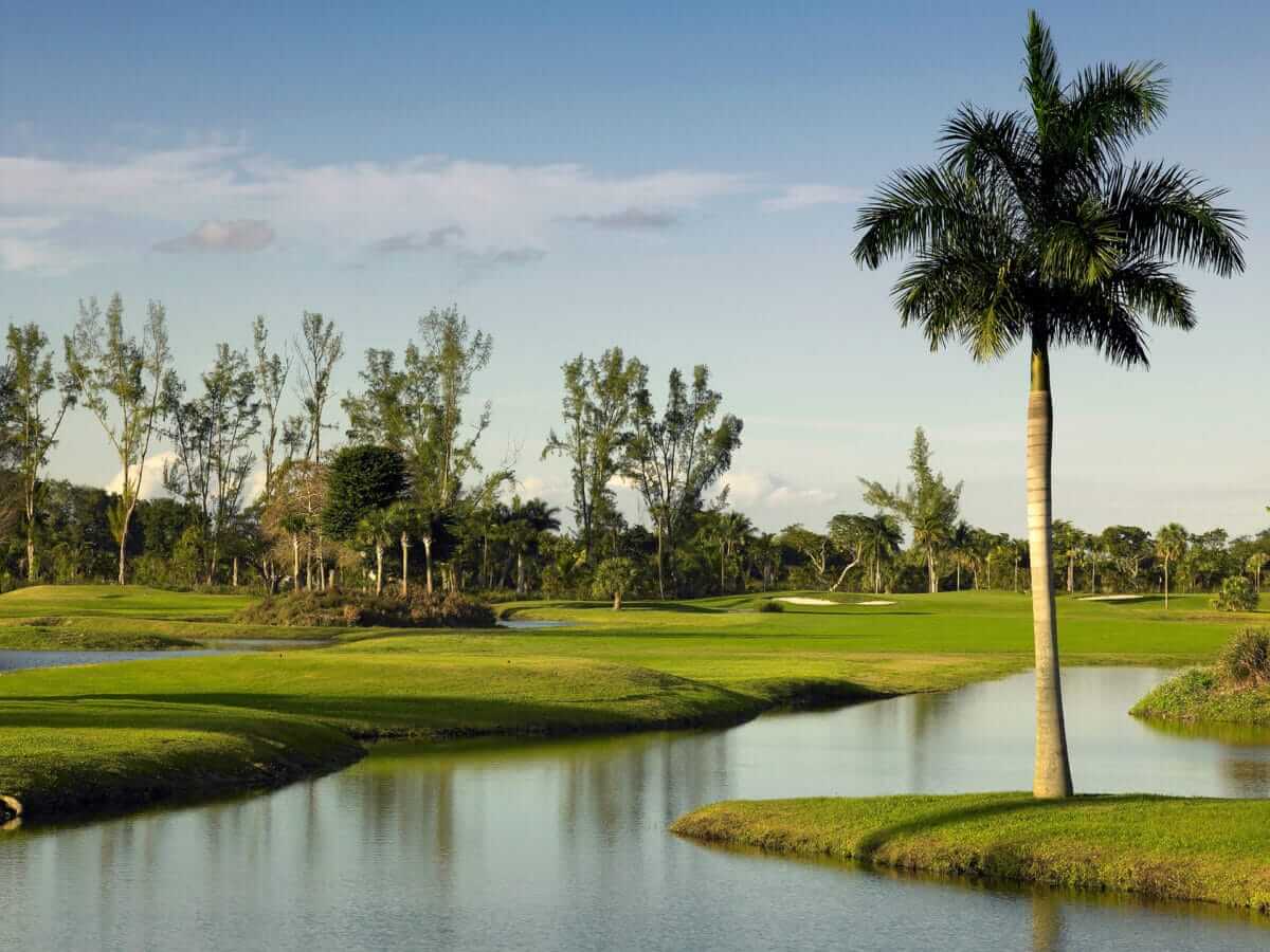 Miami Lakes’ Best Metal Roofing Company & Contractors
